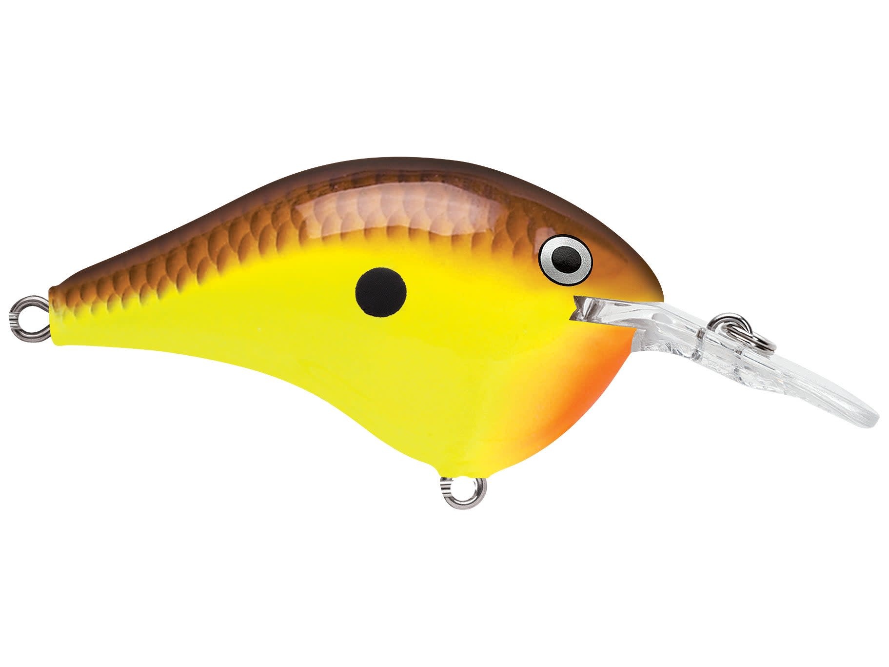 Rapala DT Crankbait