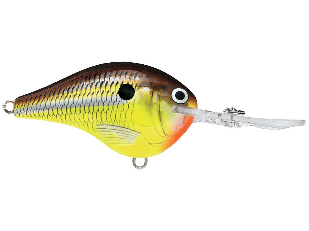 Rapala DT Crankbait