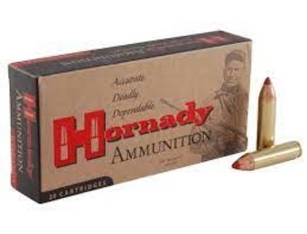 Hornady 450 Bushmaster 250GR FTX