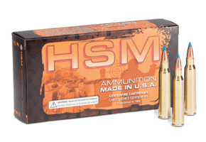HSM Custom plus ammunition