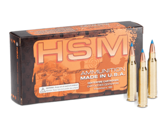 HSM Custom plus ammunition