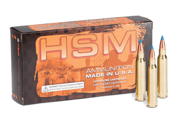 HSM Custom plus ammunition