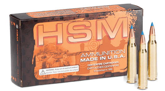 HSM Custom plus ammunition