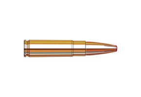 Custom .300 Blackout 135GR FTX 20Rds