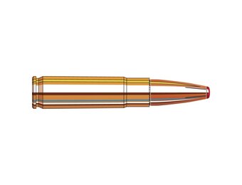 Custom .300 Blackout 135GR FTX 20Rds