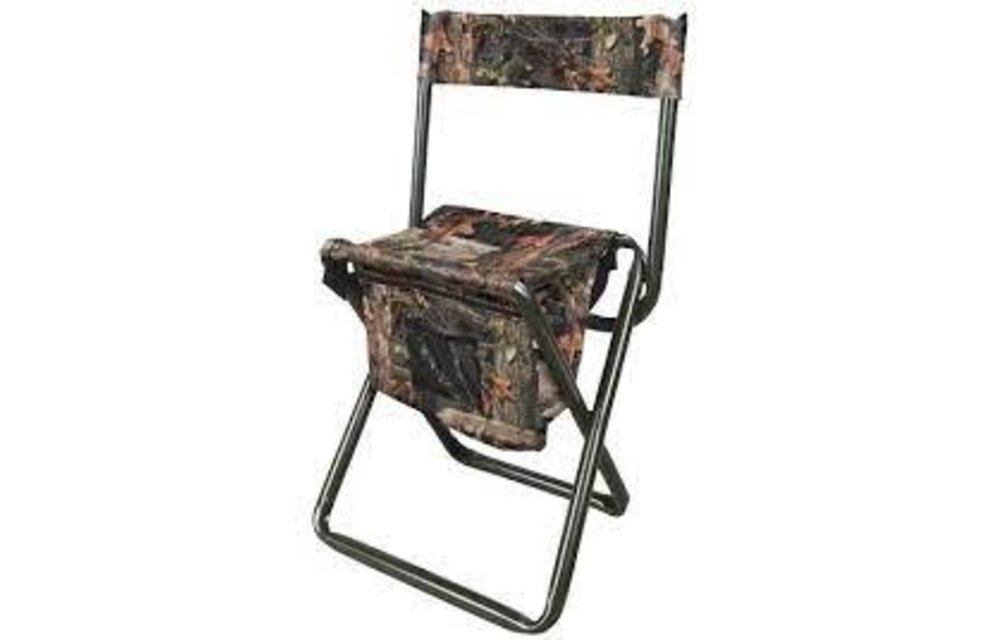 Folding Stool with Back