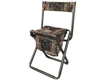 Folding Stool with Back