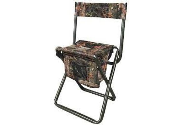 Folding Stool with Back