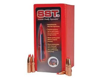 6.5MM .264 140 GR SST
