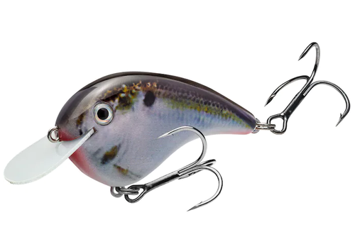 Chick Magnet Flatside Crankbait