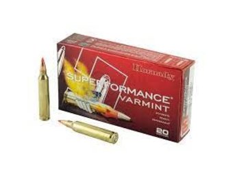 204 RUGER 32 GR V-MAX SPF