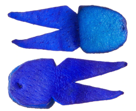 Uncle Josh #11 Pork Frog