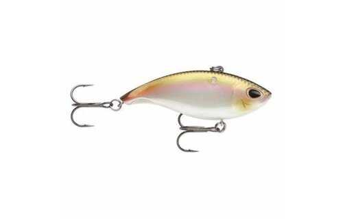 Arashi Rattling Vibe