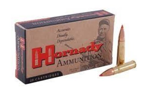 Custom .300 Blackout 135GR FTX 20Rds