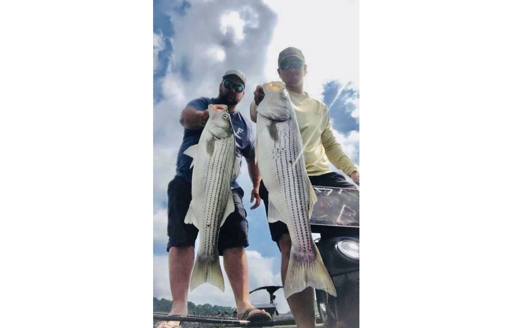 TN Fishing Guide Service