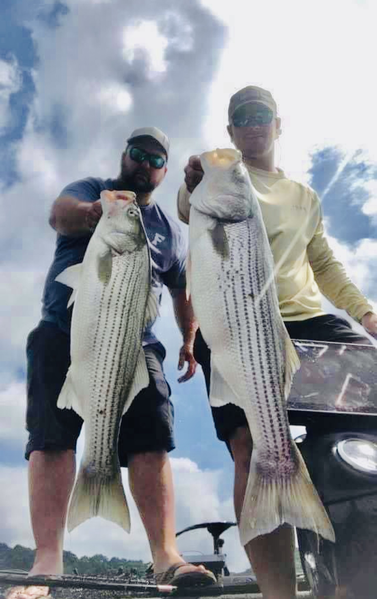 TN Fishing Guide Service