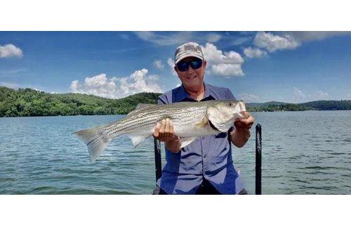 TN Fishing Guide Service
