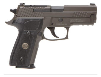 P229 Legion 9mm Legion Optics Ready E29R-9-LEGION-R2