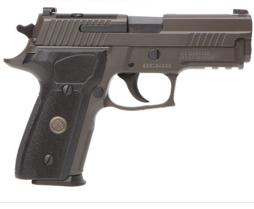 P229 Legion 9mm Legion Optics Ready E29R-9-LEGION-R2