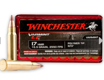 17HMR Varmint  LF 15.5gr NTX Polymer Tip 50rds