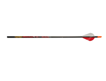 Gold Tip Kinetic 400 2in Raptor Vanes - 1/2dz