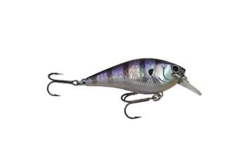 Fat CB BDS Magic 2.2