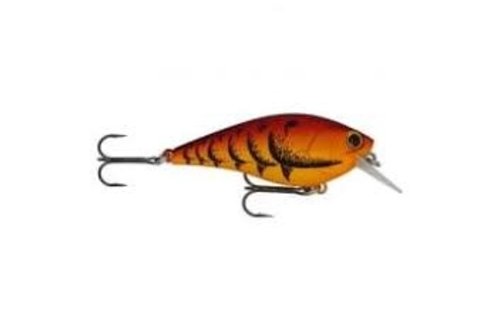 Fat CB BDS Magic 2.2