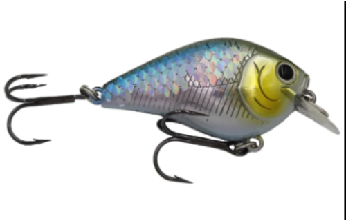 Fat CB BDS Magic 2.2