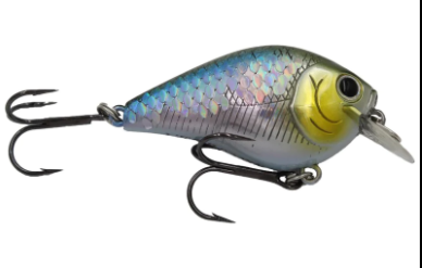 Fat CB BDS Magic 2.2