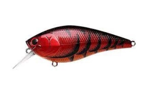 Fat CB BDS Magic 2.2