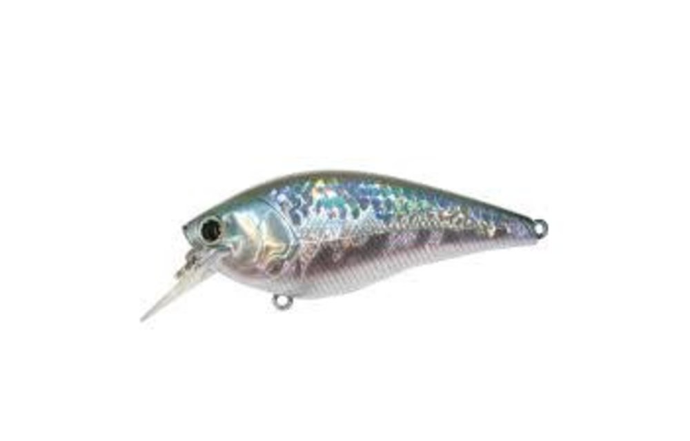 Fat CB BDS Magic 2.2