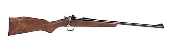Chipmunk Youth Rifle .22 LR Single-Shot 16" Barrel Walnut Stock Blued Finish