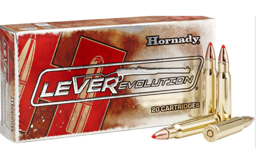 AMMO 45-70 GOVT 250 GR MONOFLEX