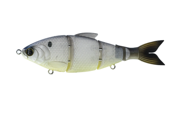 Trace 6" Swimbait Slow Sink