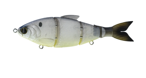 Trace 6" Swimbait Slow Sink
