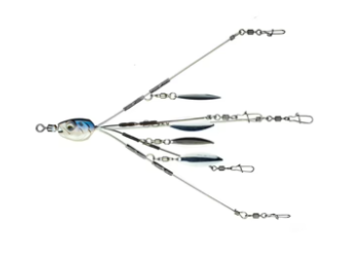 Divine Umbrella Rig - 4K Shad