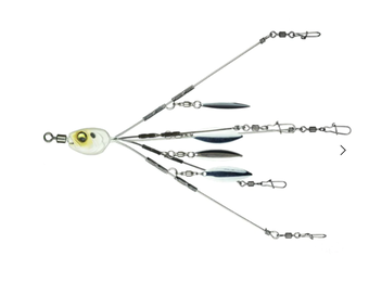 Divine Umbrella rig - Spanish Pearl