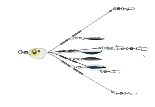 Divine Umbrella rig - Spanish Pearl