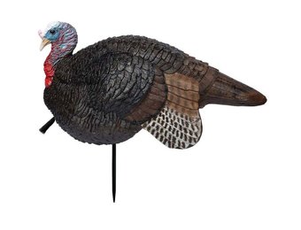Hunting Lil Gobbstopper Turkey Decoy Jake