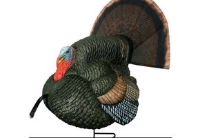 LIL GOBBSTOPPER STRUTTER BOX