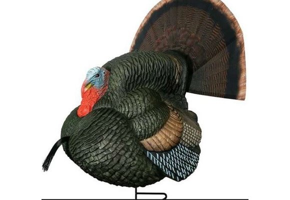 LIL GOBBSTOPPER STRUTTER BOX