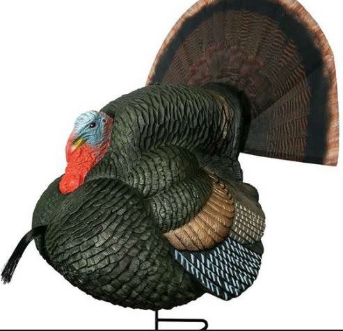 LIL GOBBSTOPPER STRUTTER BOX