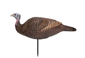 Lil' Gobbstopper Hen