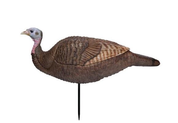 Lil' Gobbstopper Hen