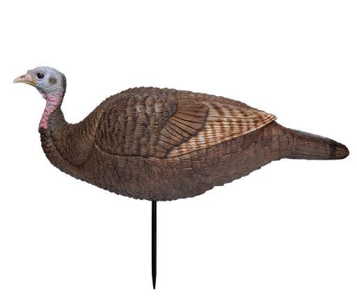 Lil' Gobbstopper Hen