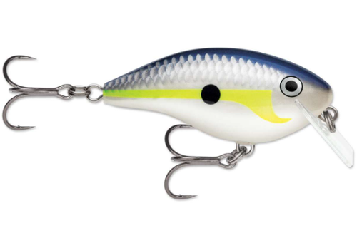 Ott's Garage OG Rocco 5