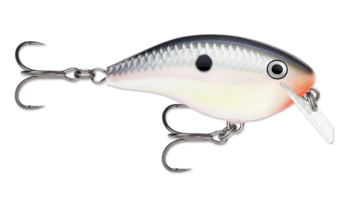 Ott's Garage OG Rocco 5