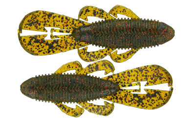 Bandito Bug (7pk)