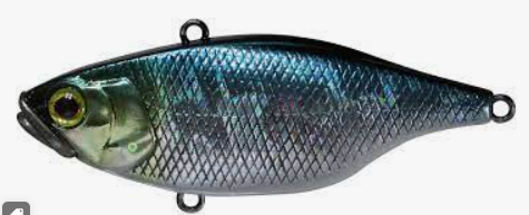 Jackall TN60 Lipless