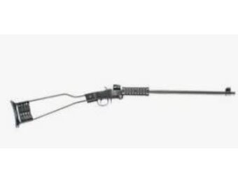 Chiappa Little Badger 22 WMR 500.110